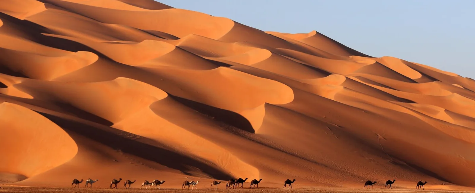 فعاليات صحراء الامارات