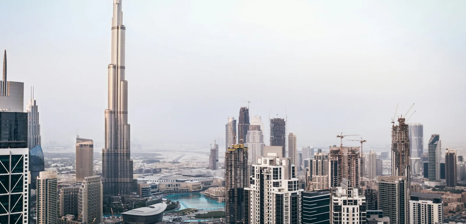 أفضل شركات ناشئة في الإمارات