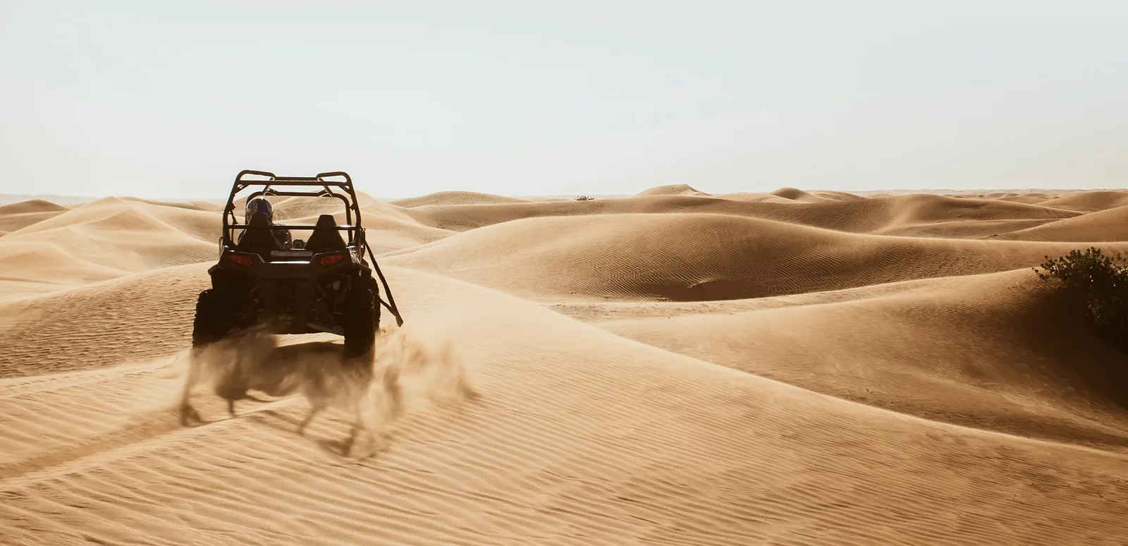 Amazing Things to Do in the UAE This Autumn