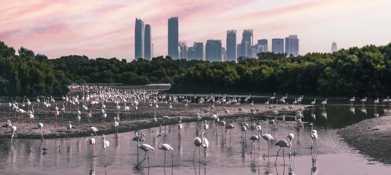 Top 6 Nature-Lover Destinations in the UAE