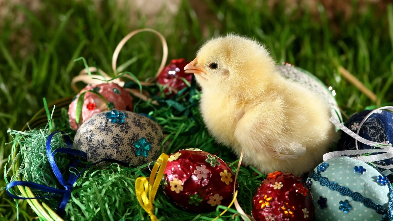 5 Great Places to Celebrate Easter in Abu Dhabi 2025
