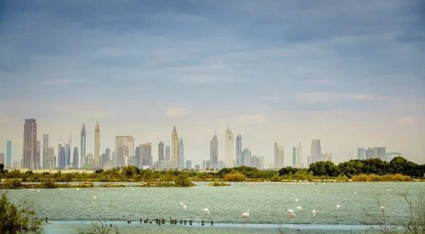 جواهر مخفية مذهلة في الإمارات يجب عليك استكشافها