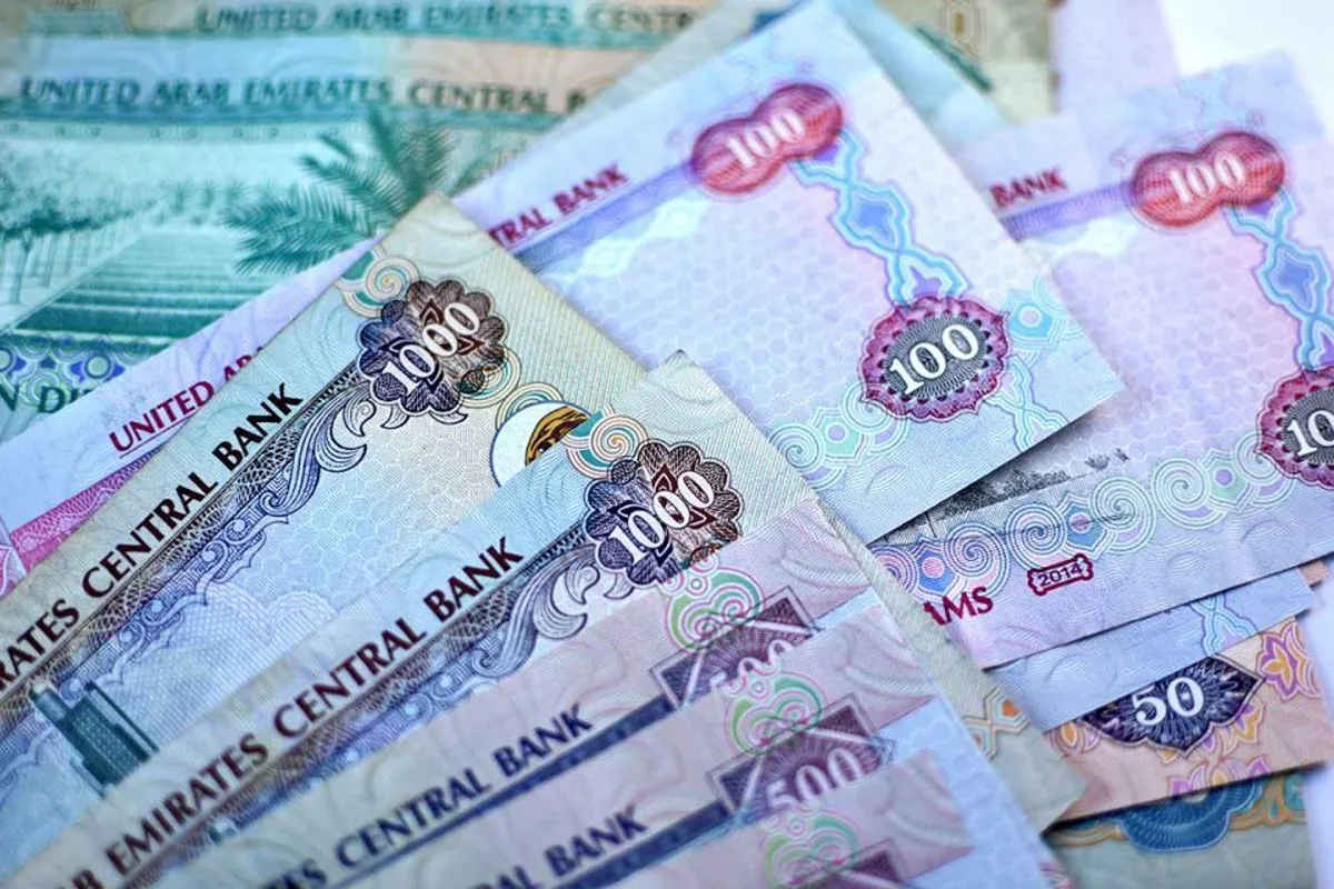 “التحويلات المالية في الإمارات تتجاوز 7.9 تريليون درهم خلال الأشهر الخمسة الأولى من 2024”