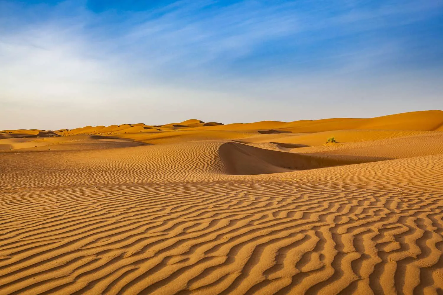 6 أنشطة مثيرة يمكنك تجربتها الآن في صحارى دبي