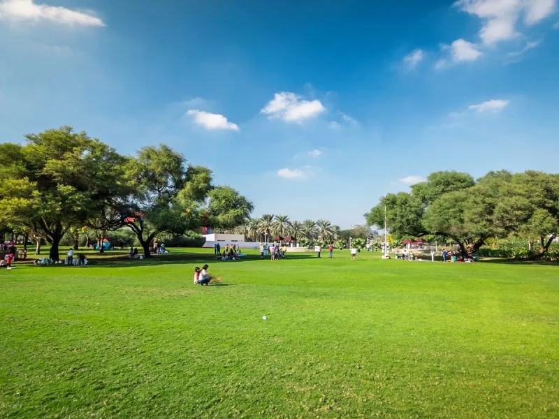 Dubai’s Green Oasis: 30 New Parks to Enhance City’s Outdoor Spaces