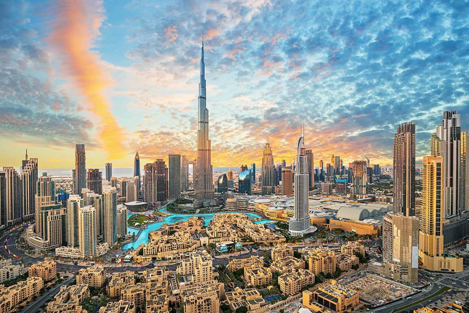 تعرف على أبرز الشركات الناشئة في الإمارات