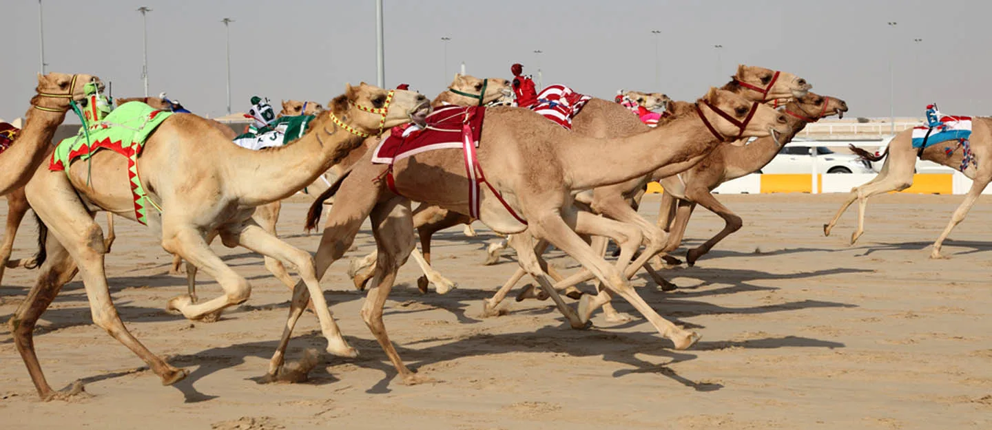 أشهر الرياضات الموجودة في الإمارات