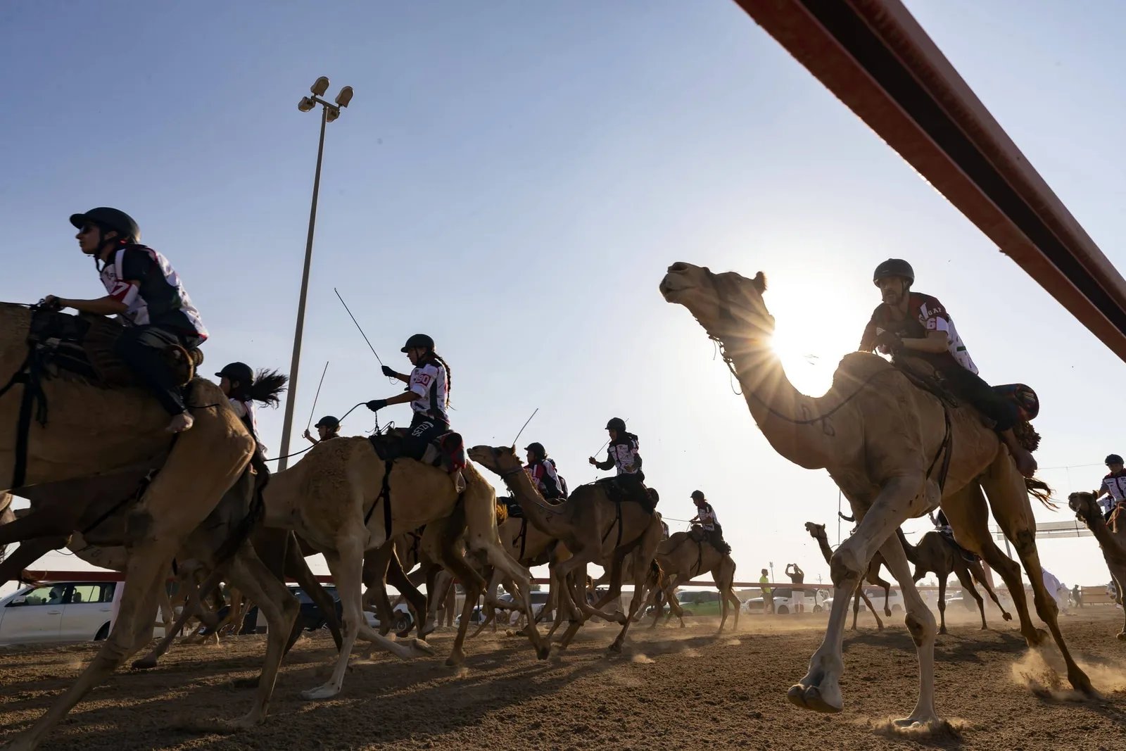 الرياضات التقليدية في الإمارات: الأصالة والهوية الوطنية