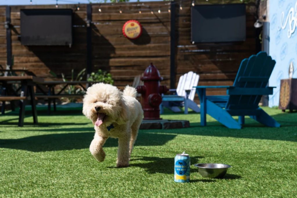 مقاهي ومطاعم صديقة للحيوانات الأليفة في دبي