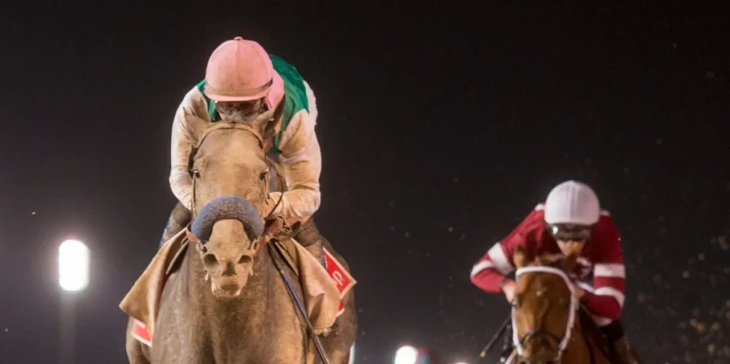The Most Exciting Sports Events in the UAE