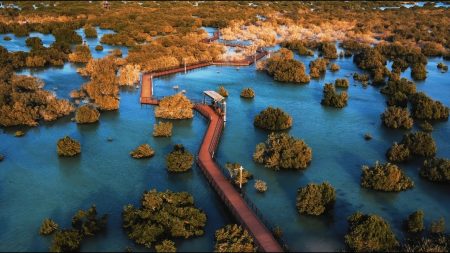 أغرب 5 أماكن وتجارب في أبوظبي